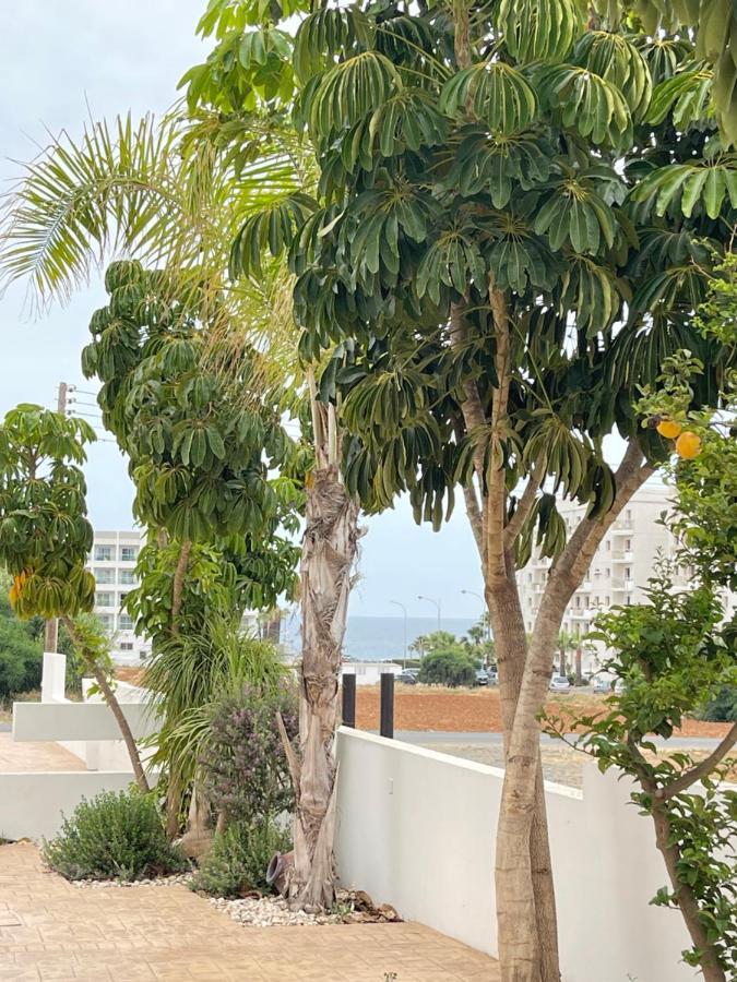 Tonia Seaview Villas Protaras Bagian luar foto
